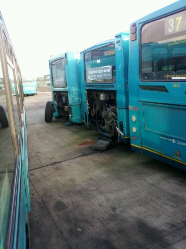 20120122_103004.jpg image